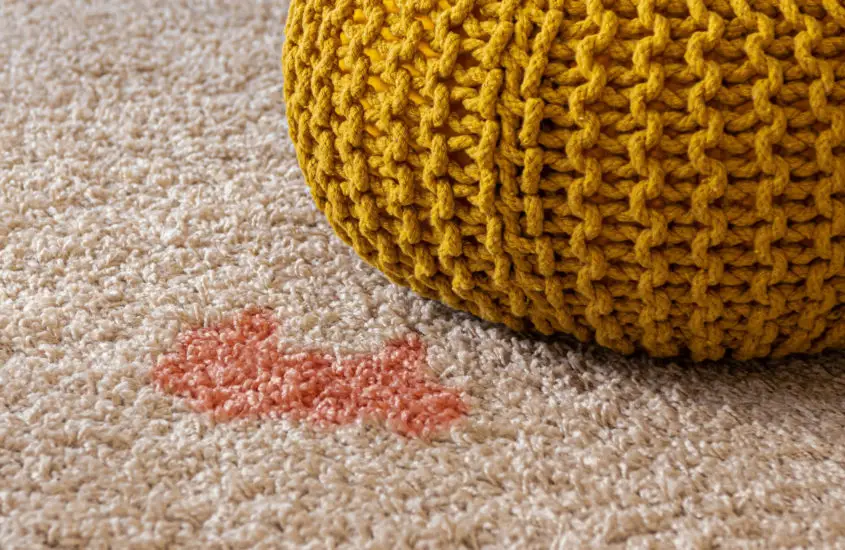 The 8 Best Homemade DIY Stain Remover for Carpets
