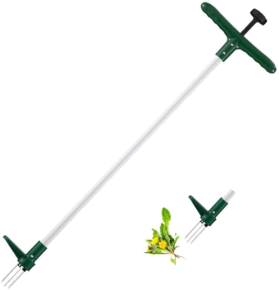 example of a weeding tool