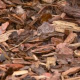 Pine Bark Mulch For Tomatoes