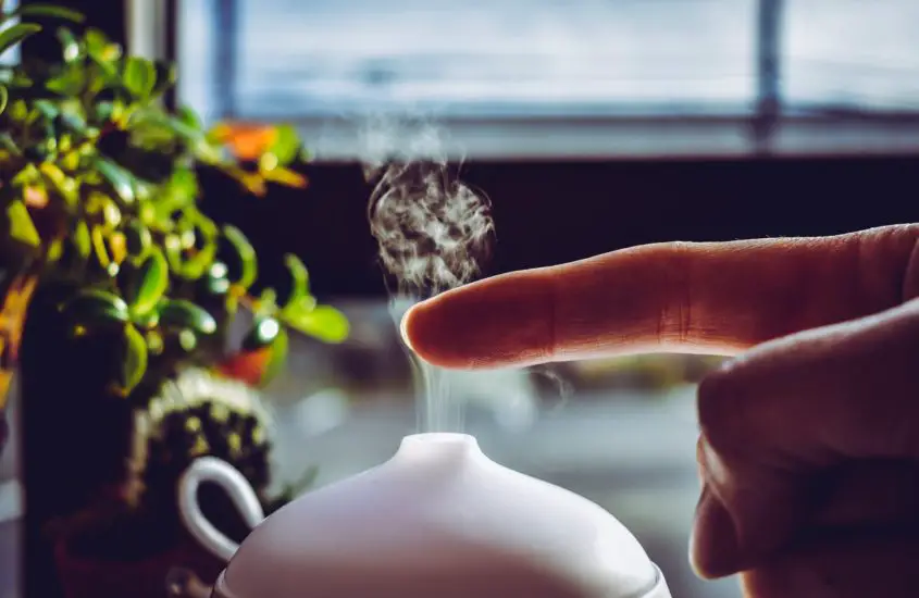 How To Stop Your Essential Oil Diffuser From Smelling Like Mildew