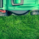 Disinfect Lawn Mower Blades
