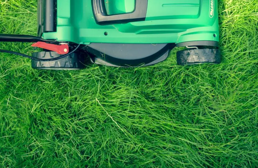 The Right Way To Disinfect Lawn Mower Blades