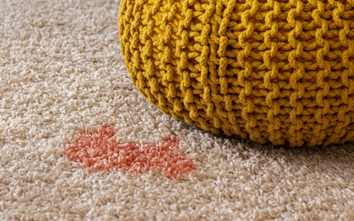 diy stain remover for carpet