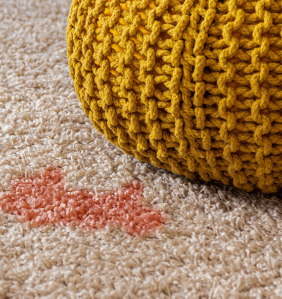 diy stain remover for carpet