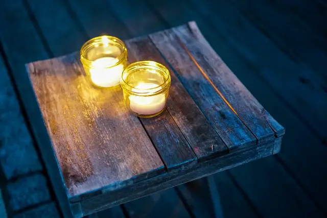 Is Citronella Safe For Dogs? Find Out Here!